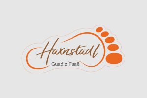 haxnstadl-logo